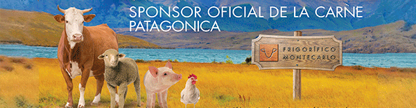 plantilla_upper_front2