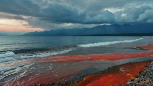 Leonardo_Kino_XL_Scene_of_a_coast_with_red_tide_and_blue_sea_o_1