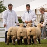 El Hampshire Down argentino lanzó el Primer Congreso Mundial 2026 de la raza fuera del Reino Unido