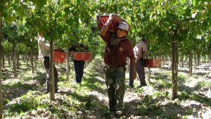 WhatsApp Image 2025-07-10 at 8.39.59 PM