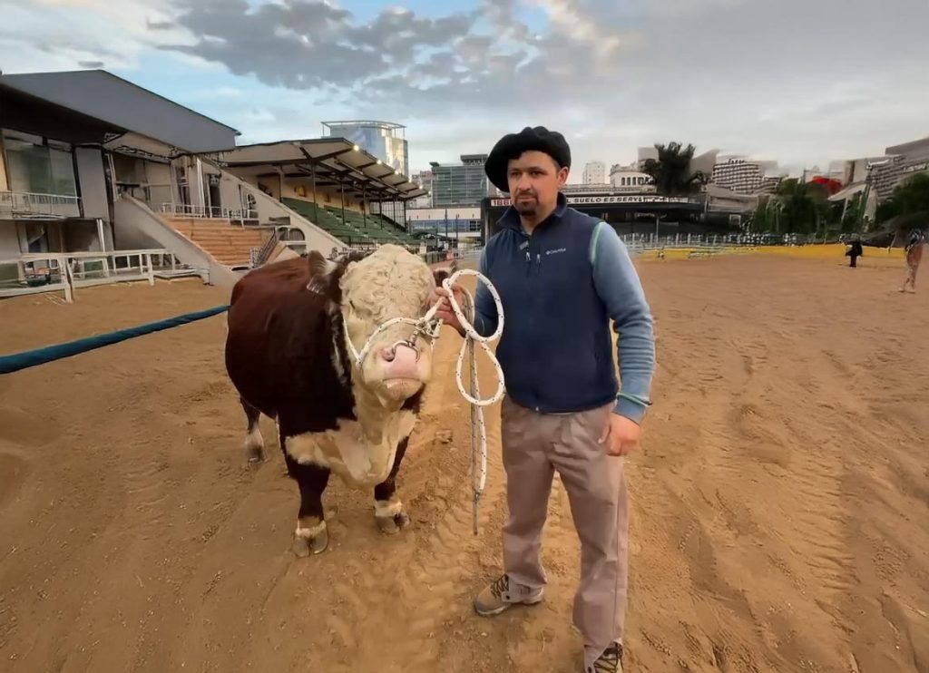 foto_rural