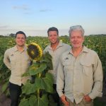 ZETA Semillas, el nombre de la genética argentina en girasol