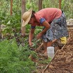 Voces de la tierra: conversatorio por el Día Internacional de las Mujeres Rurales