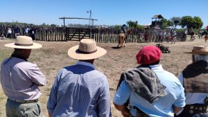 WhatsApp Image 2025-10-23 at 3.03.16 PM (1)