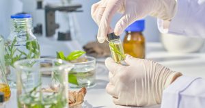 imgi_9_d4529241-4677-8b6c-74bd-c36c77767bfa