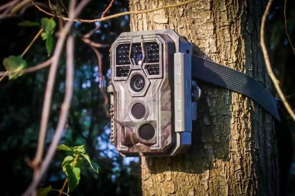 camaras-trampa-amazon-1024x683