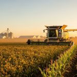 Ajustes en retenciones: impacto y perspectivas para la agroindustria