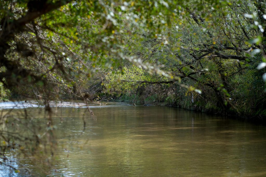 pexels-tomas-asurmendi-774865545-31824692