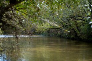 pexels-tomas-asurmendi-774865545-31824692