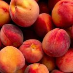 Actualización del marco normativo del Programa Nacional de Moscas de la Fruta