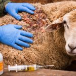 Castagnani en Puerto San Julián: «El gobierno cometió un error sanitario y aún estamos a tiempo de revertirlo»