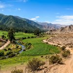 Sequía en Argentina: un escenario de contrastes que preocupa al sector productivo