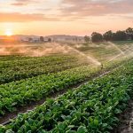 El valor del agua, eje estratégico del Simposio Regional Fertilidad 2026