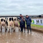 Santa Fe le pone “pimienta” a la mayor jura a campo de vacas Holando