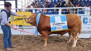 LIMOUSIN Jesús María - GCM