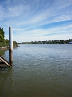 Foto Revista La Tranquera