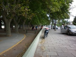 Foto Revista La Tranquera